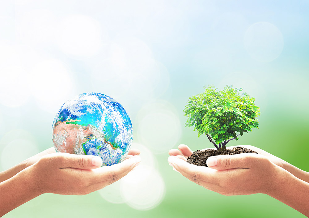 World environment day concept: Two human hands holding earth globe and heart shape of tree over blurred green nature background. Elements of this image furnished by NASA